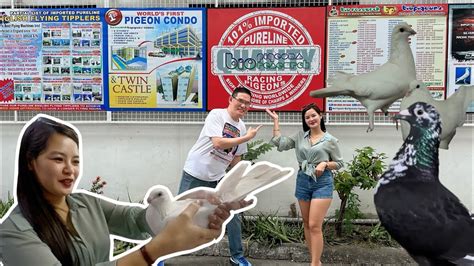 pilipinas kalapati clocking login
